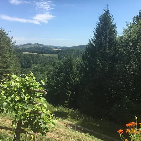 ホームステイ Gaestehaus Schmid Sankt Johann im Saggautal