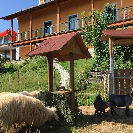 Accommodatie bij particulieren Gaestehaus Schmid *