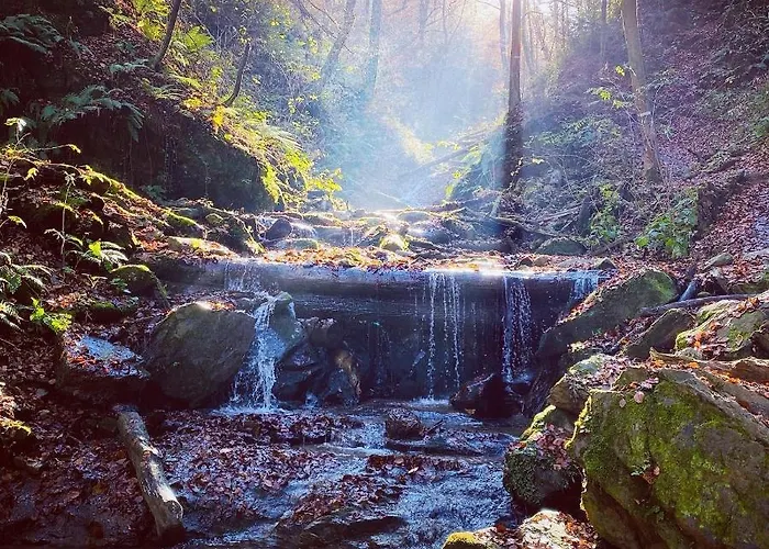 Gaestehaus Schmid 홈스테이 *