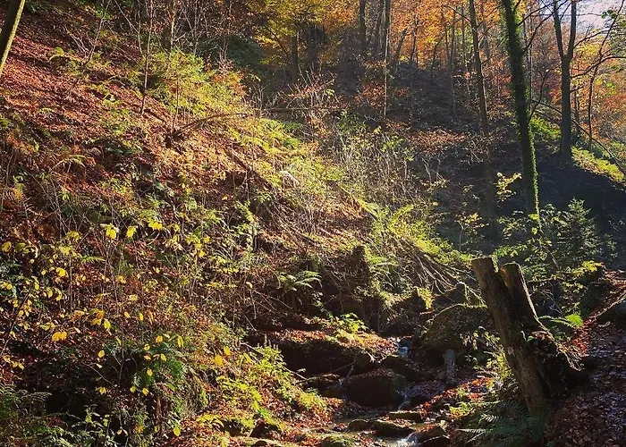 홈스테이 Gaestehaus Schmid *