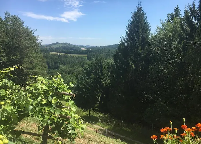 홈스테이 Gaestehaus Schmid Sankt Johann im Saggautal