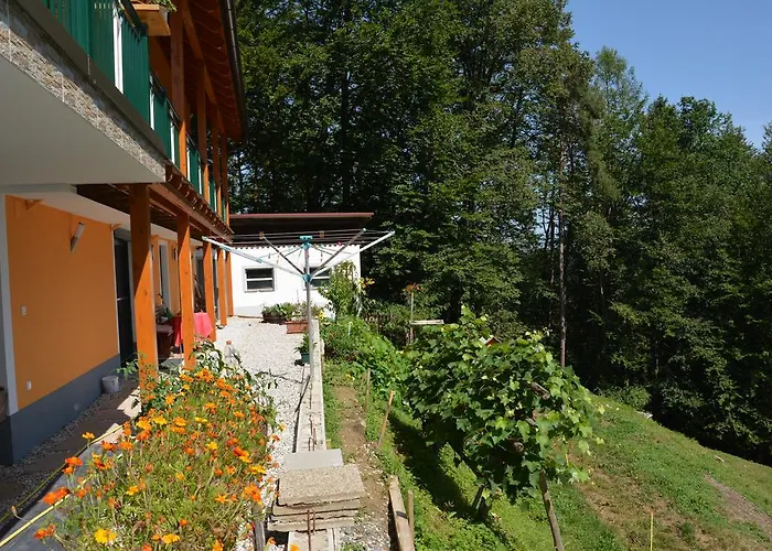 Gaestehaus Schmid 홈스테이